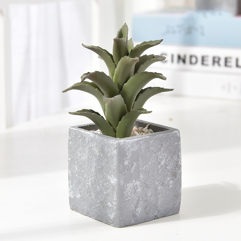Faux-Succulent-Cactus-Faked-Air-Plants-with-Gray-Pots-for-Desktop (1).jpg